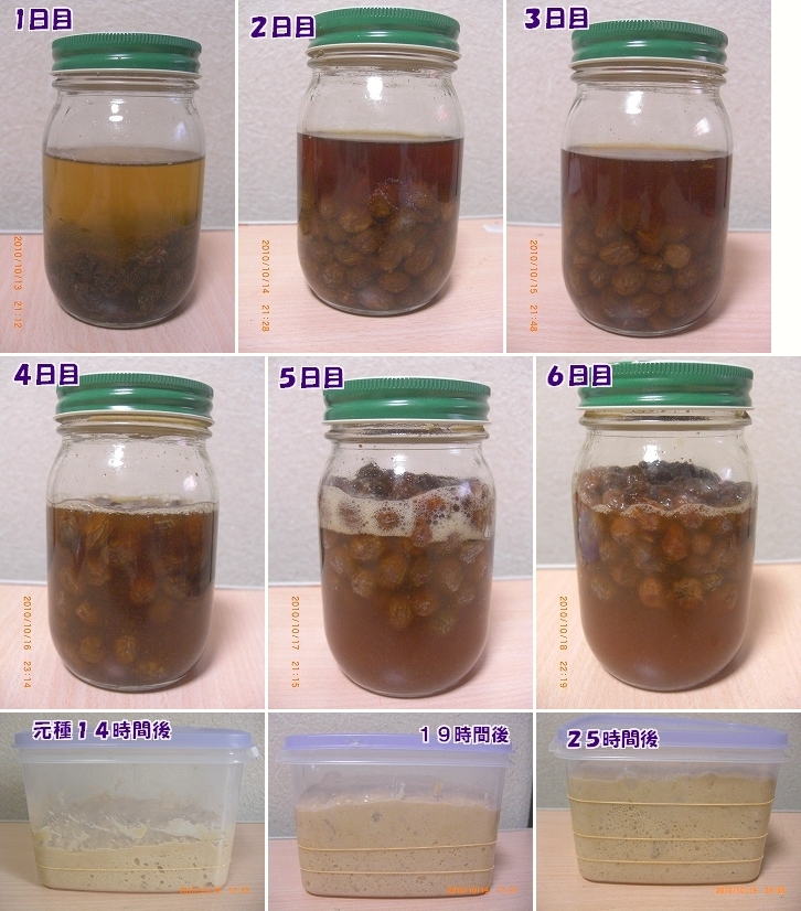 自家製レーズン酵母