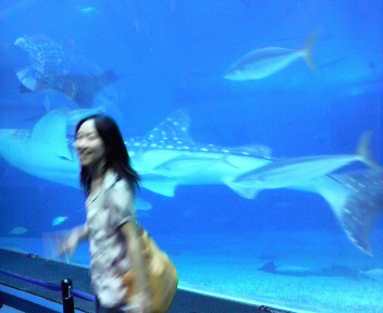 水族館2