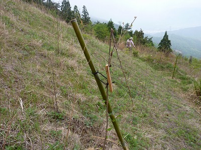 P1080432.jpg