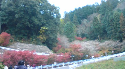 20111123095017.jpg