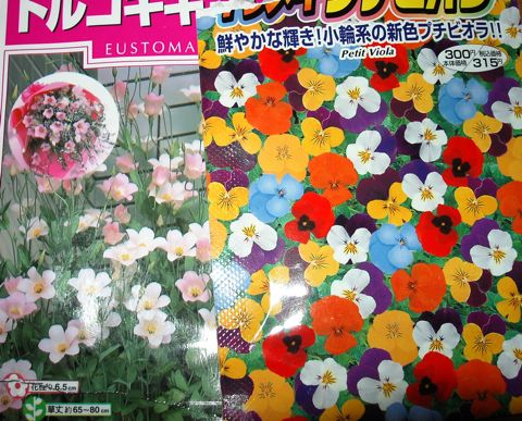種まき