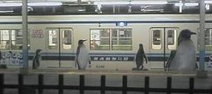 ペンギン電車