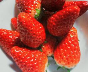 いちご２