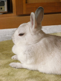 へたばったわー