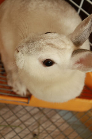 大人になったね