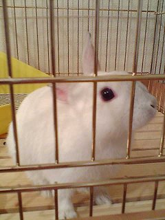 里帰り中