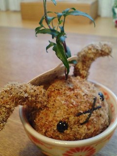 こけうさ