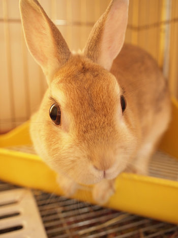 これからもよろしく