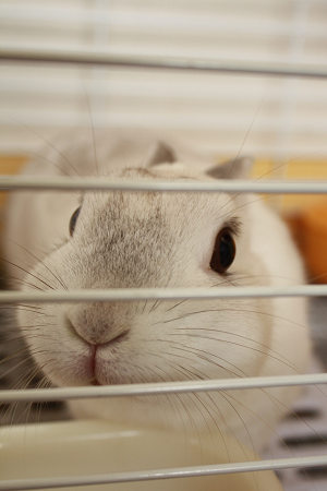 今日もやられたー