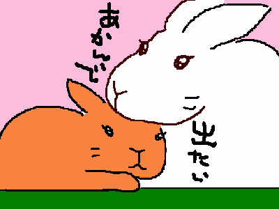 さやの介さんのパフとエルメス