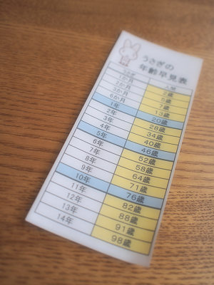 早見表