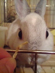 もぐもぐ