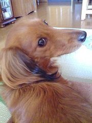 ベリー