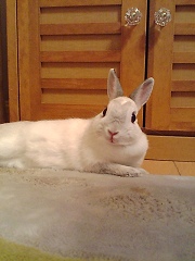 ふーん