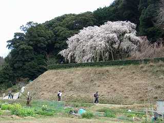 気持ちの良い天気でした～♪
