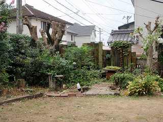 恋に落ちそう！（笑）