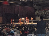 全日本プロレス