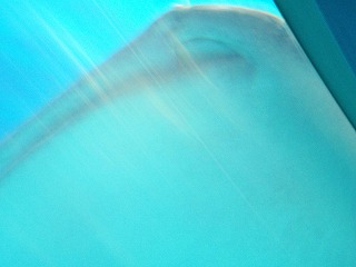 どアップすぎ～