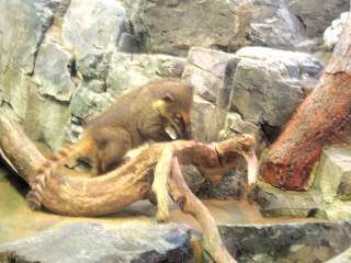 公開初日でした♪ ラッキー！