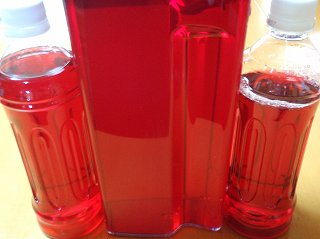 この夏のお楽しみ～♪