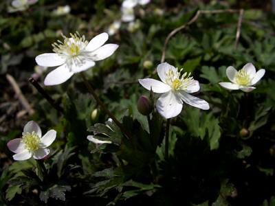 080422-1.jpg