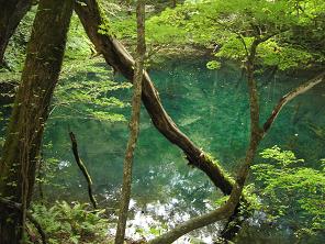 十二湖沸壺の池