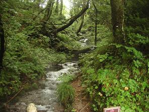 十二湖沸壺の池近くの水飲み場