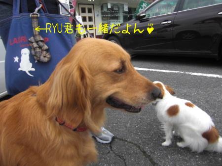 ＲＹＵクンも一緒