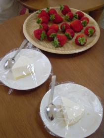 カマンベール（休憩中）