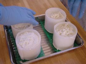 カマンベールその５