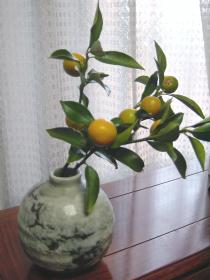 金柑の枝を一輪挿しに