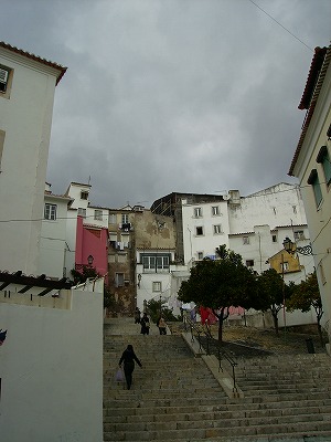 P9080437.jpg