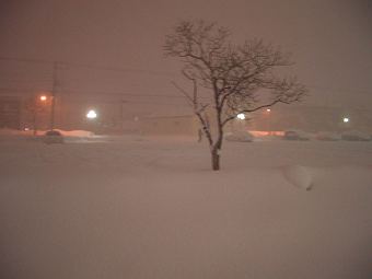 猛吹雪の中