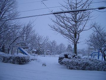 雪景色２