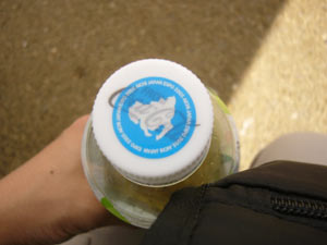 キャップにシール付き