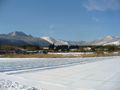 4・19雪景色.JPG