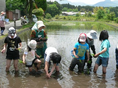 田植え２.JPG