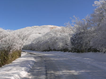 雪景色１.jpg