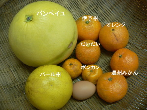 柑橘類の種類が増えてきた ７人家族の田舎暮らし 楽天ブログ