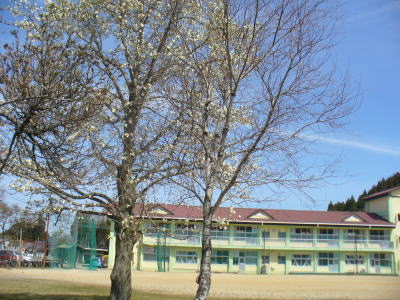 小学校.jpg