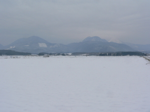 雪景色.jpg