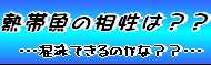 出来る？？出来ない？？