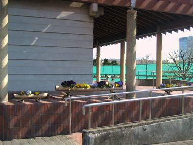 テニスコート・アプローチ・１。