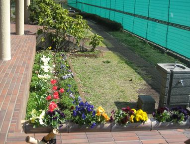 テニスコート・アプローチ２・。