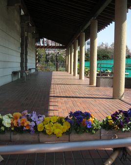 テニスコート・アプローチ・３。