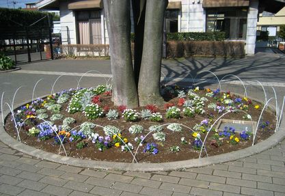 テニスコート・植え込み。