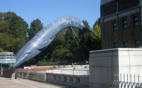 国立博物館・くじら。