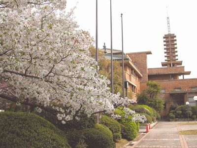 桜・06・名建築。