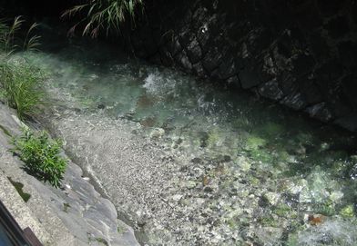 2011草津・西の河原・川。