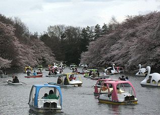 ２０１０お花見・４